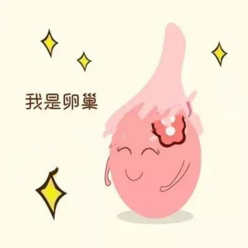 试管助孕促排卵,您不可忽视的几个要点!