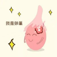 试管助孕促排卵，您不可忽视的几个要点！