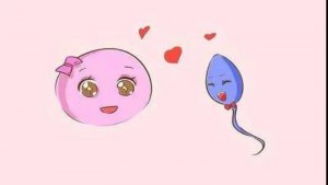 这5类人备孕更容易怀孕！看看有你吗~