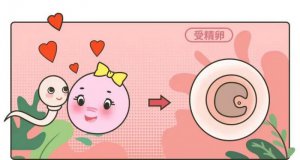 做试管助孕3个容易被忽略却能提高成功率的关键细节！