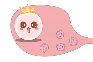 排卵异常是什么原因？